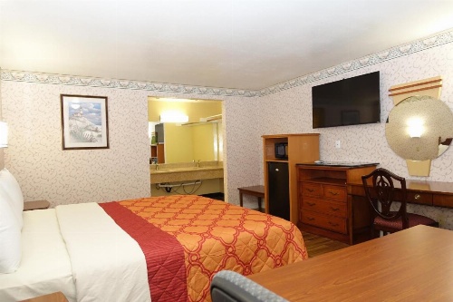 Tropic Lodge image 16