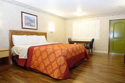 Tropic Lodge image 9